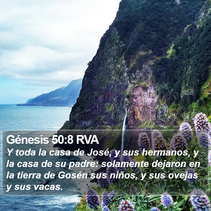 Génesis 50:8 RVA Bible Study