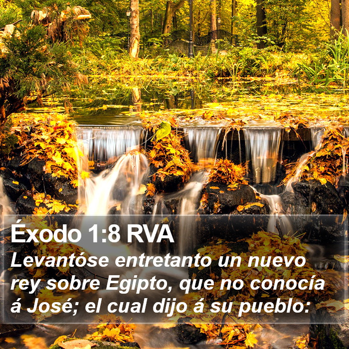 Éxodo 1:8 RVA Bible Study