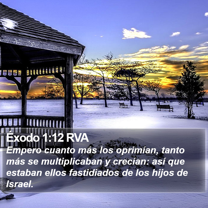 Éxodo 1:12 RVA Bible Study