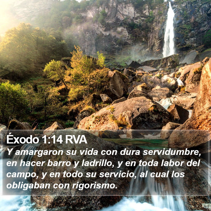 Éxodo 1:14 RVA Bible Study