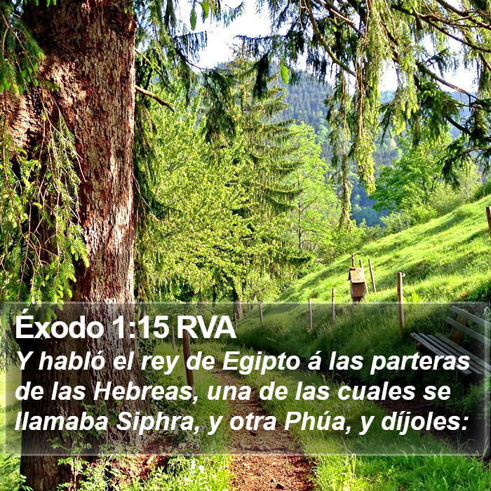 Éxodo 1:15 RVA Bible Study