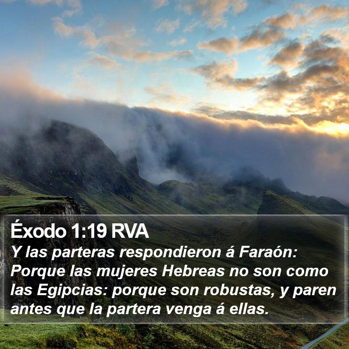 Éxodo 1:19 RVA Bible Study