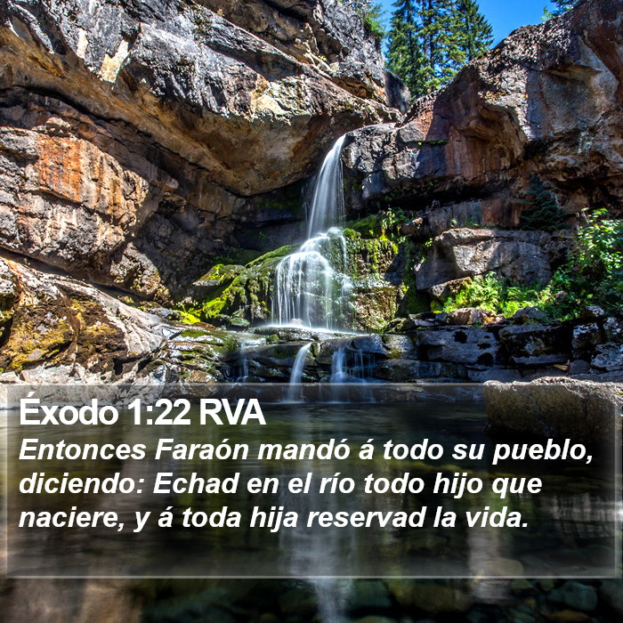 Éxodo 1:22 RVA Bible Study