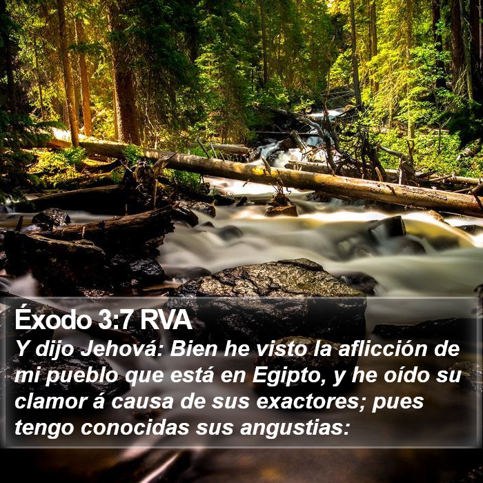 Éxodo 3:7 RVA Bible Study