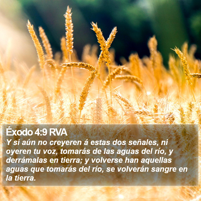 Éxodo 4:9 RVA Bible Study