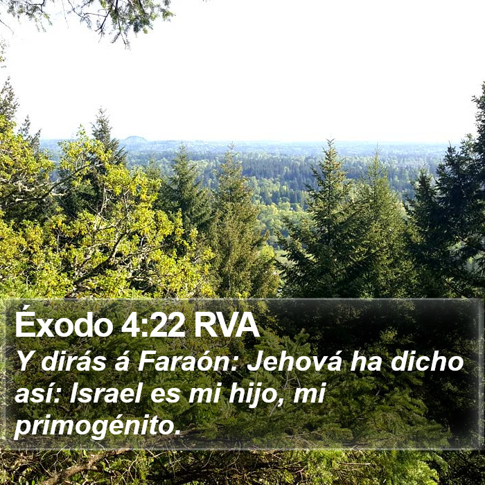 Éxodo 4:22 RVA Bible Study