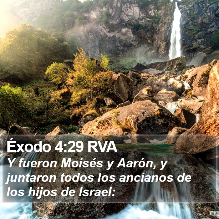 Éxodo 4:29 RVA Bible Study