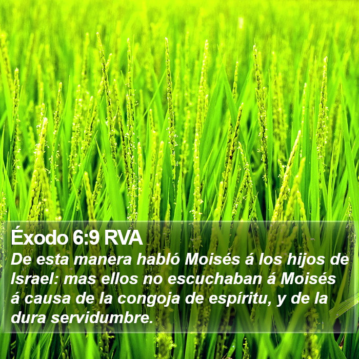 Éxodo 6:9 RVA Bible Study