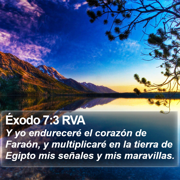 Éxodo 7:3 RVA Bible Study