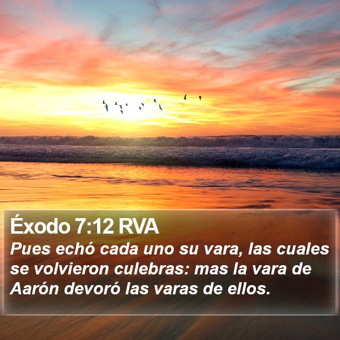 Éxodo 7:12 RVA Bible Study