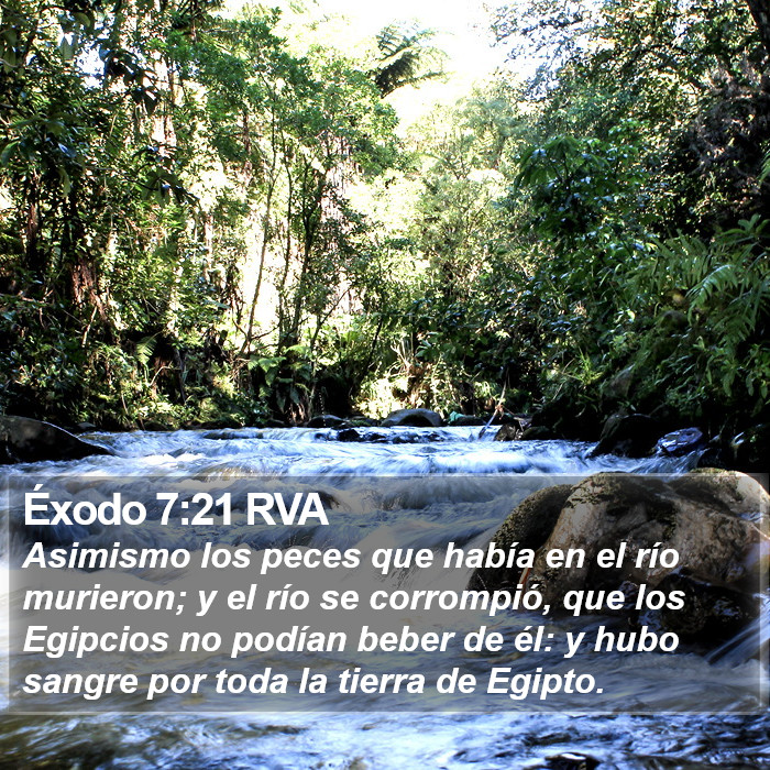 Éxodo 7:21 RVA Bible Study