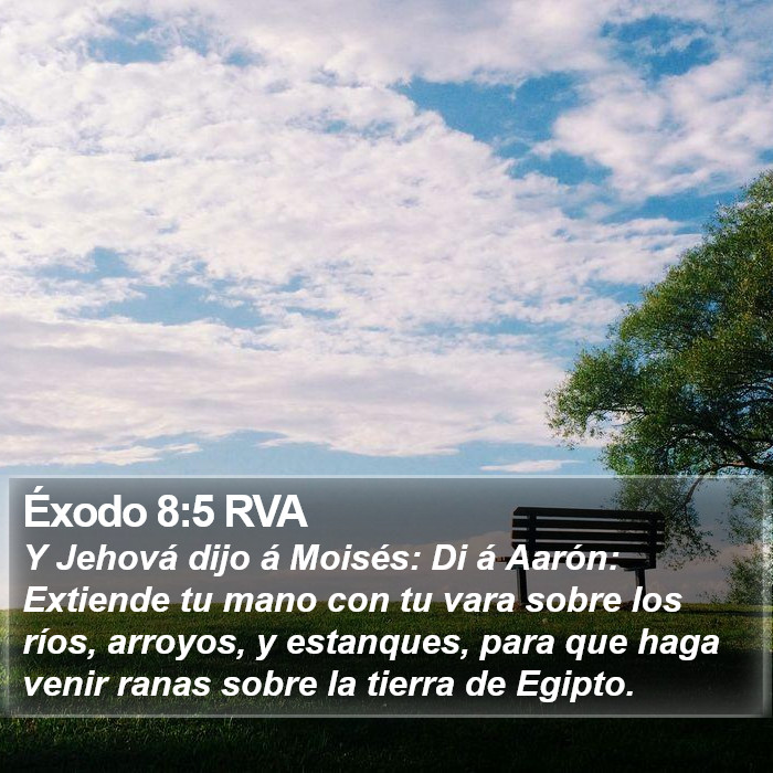 Éxodo 8:5 RVA Bible Study