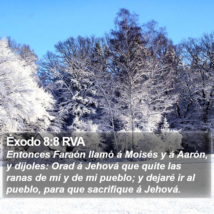 Éxodo 8:8 RVA Bible Study