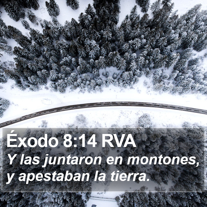 Éxodo 8:14 RVA Bible Study
