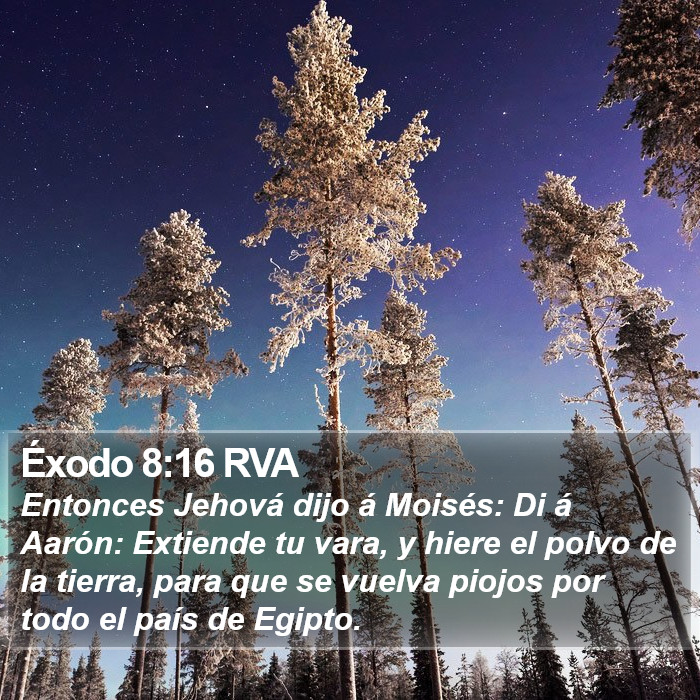 Éxodo 8:16 RVA Bible Study