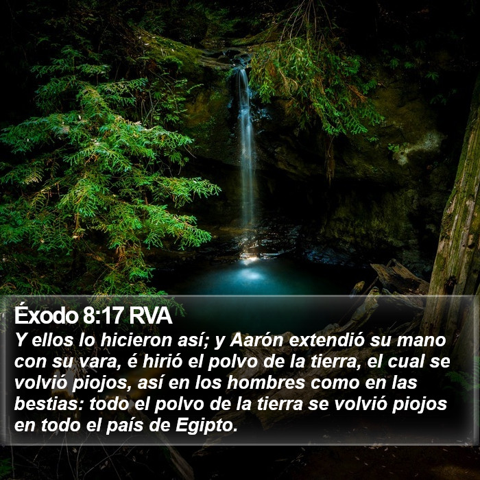 Éxodo 8:17 RVA Bible Study