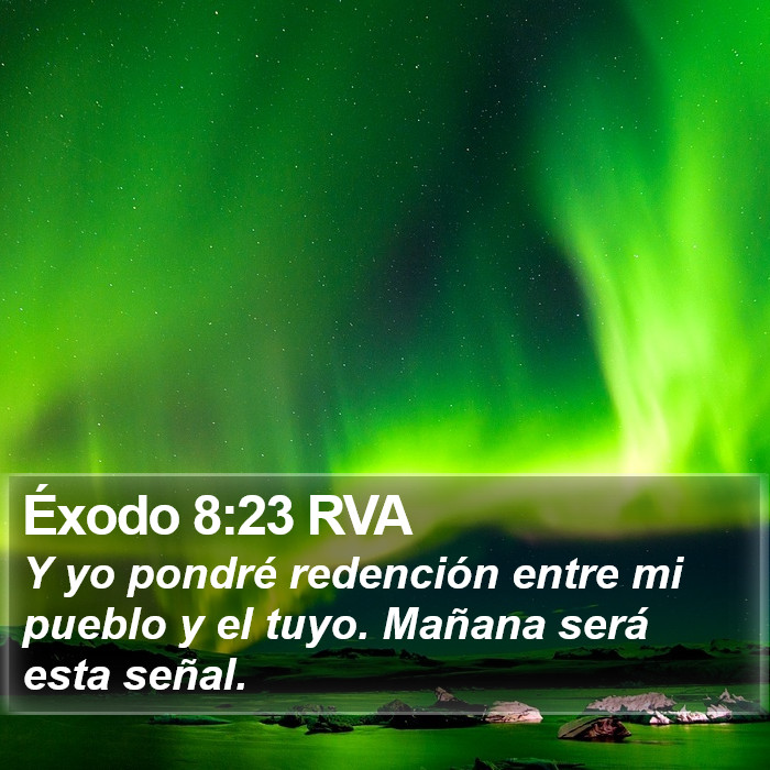 Éxodo 8:23 RVA Bible Study