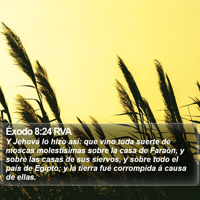 Éxodo 8:24 RVA Bible Study