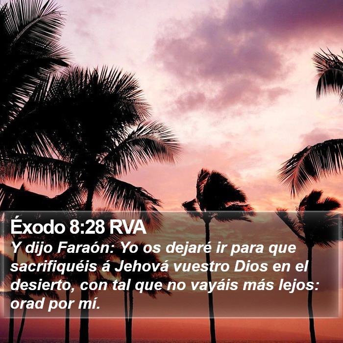 Éxodo 8:28 RVA Bible Study