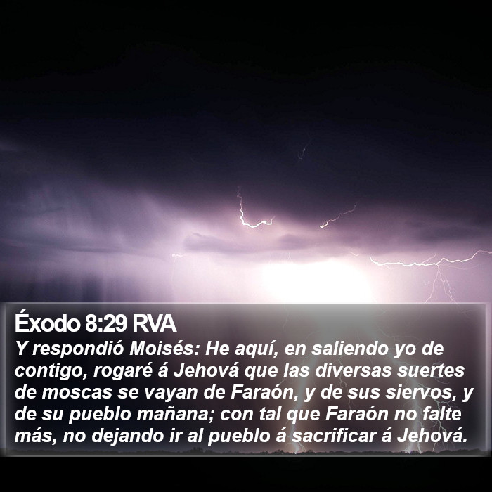 Éxodo 8:29 RVA Bible Study