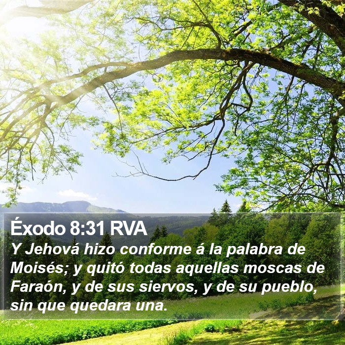 Éxodo 8:31 RVA Bible Study