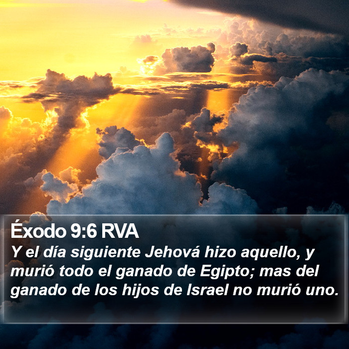 Éxodo 9:6 RVA Bible Study