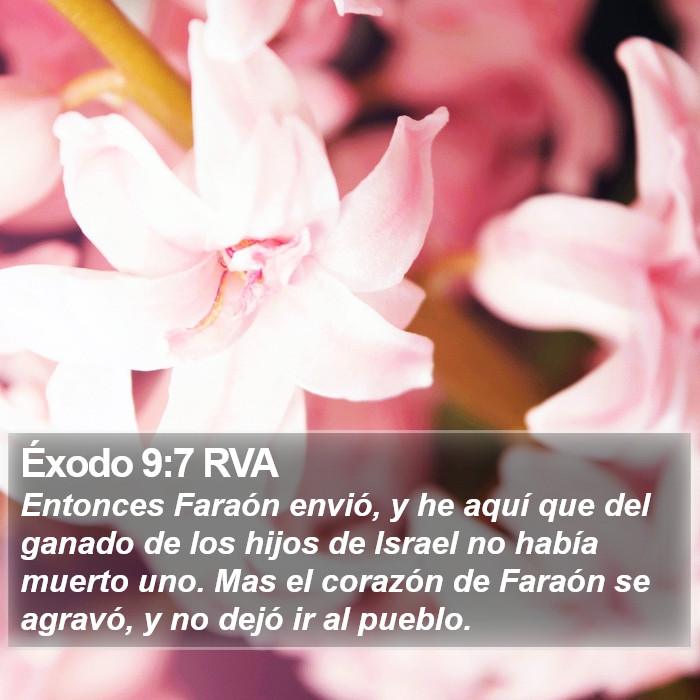 Éxodo 9:7 RVA Bible Study