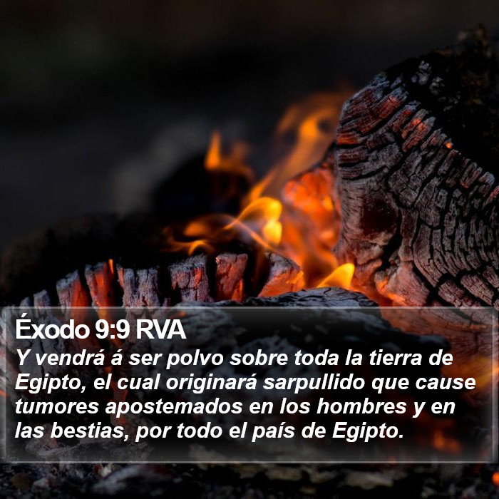 Éxodo 9:9 RVA Bible Study