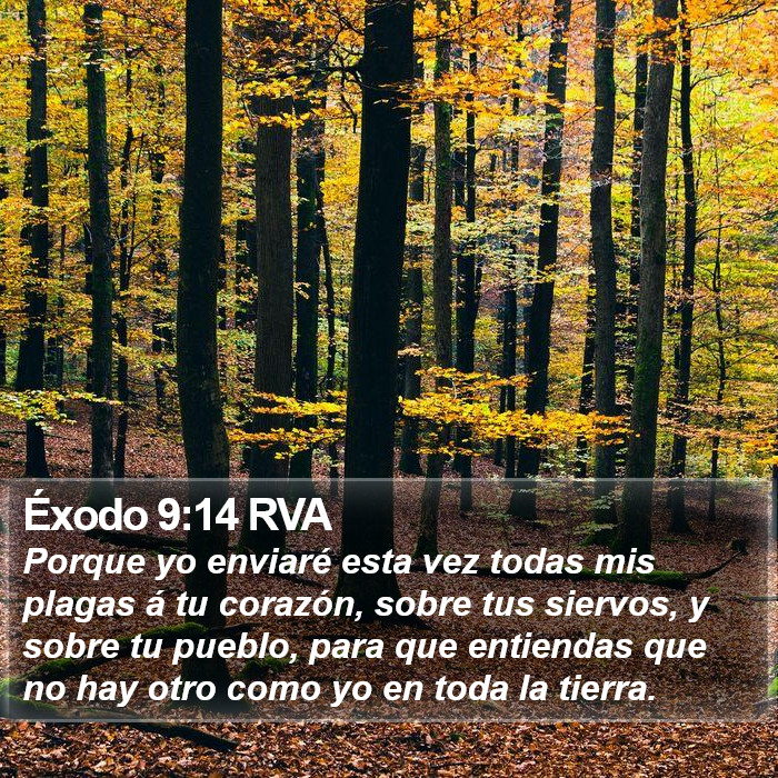 Éxodo 9:14 RVA Bible Study