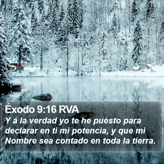 Éxodo 9:16 RVA Bible Study