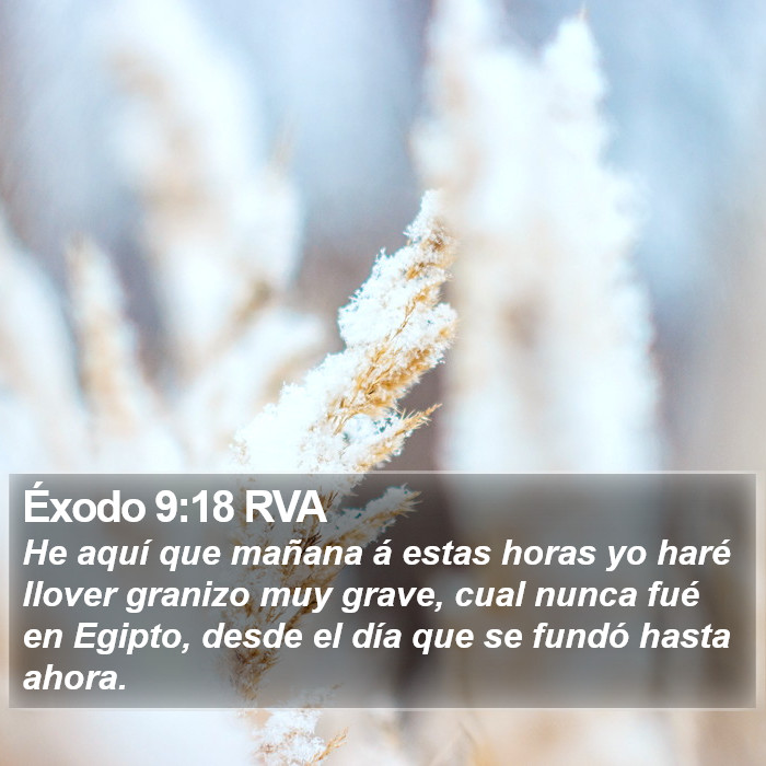 Éxodo 9:18 RVA Bible Study