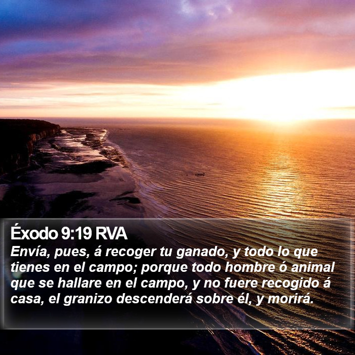 Éxodo 9:19 RVA Bible Study