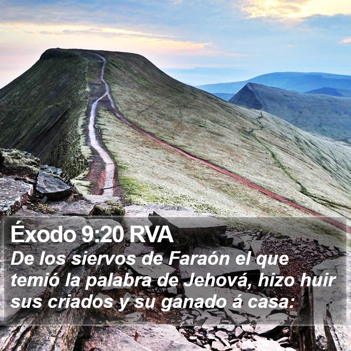 Éxodo 9:20 RVA Bible Study