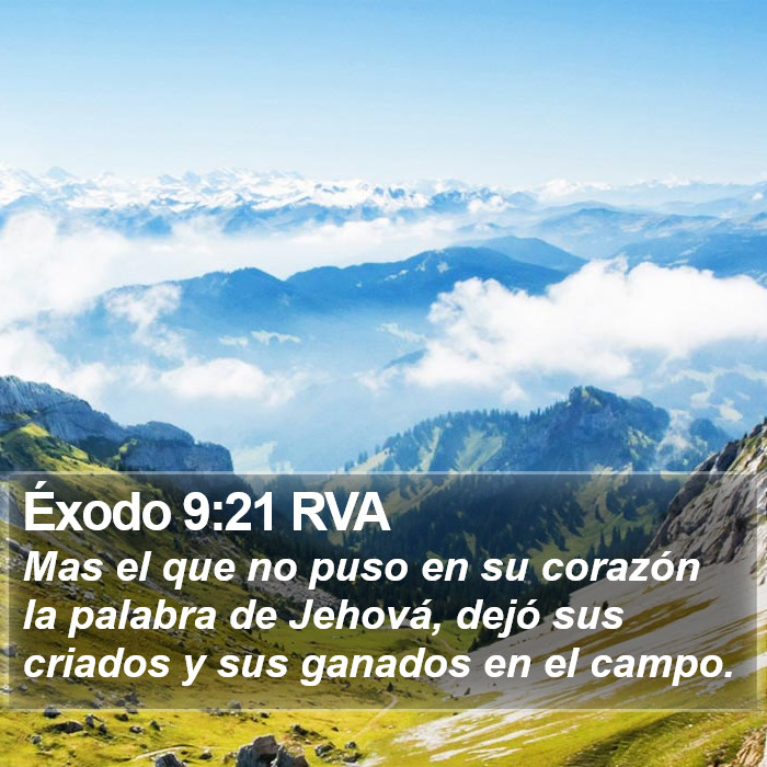 Éxodo 9:21 RVA Bible Study