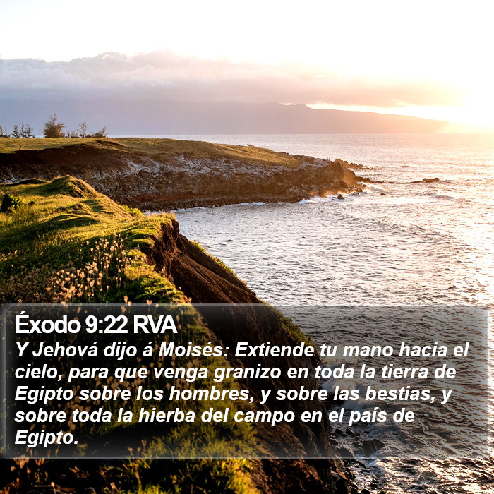 Éxodo 9:22 RVA Bible Study