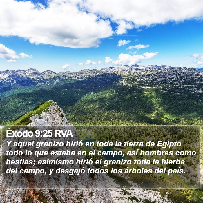 Éxodo 9:25 RVA Bible Study