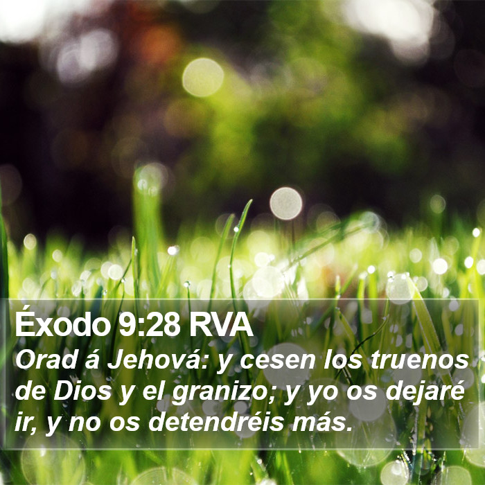 Éxodo 9:28 RVA Bible Study