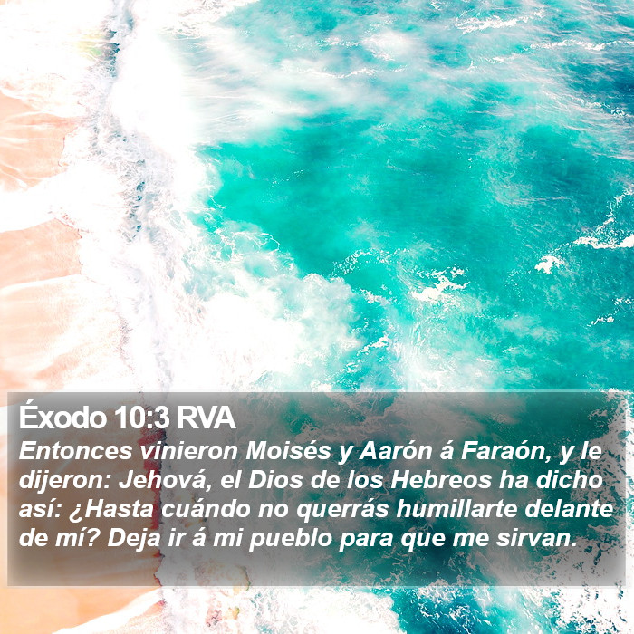 Éxodo 10:3 RVA Bible Study
