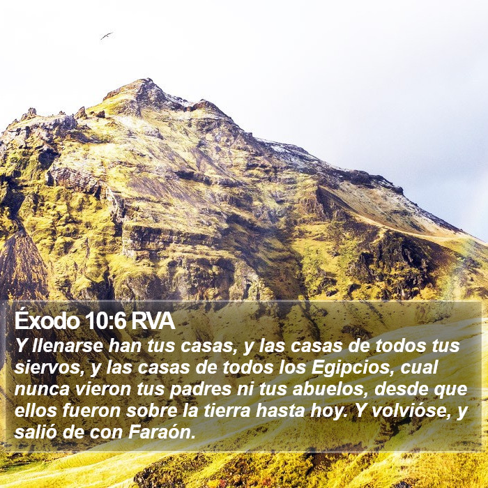 Éxodo 10:6 RVA Bible Study