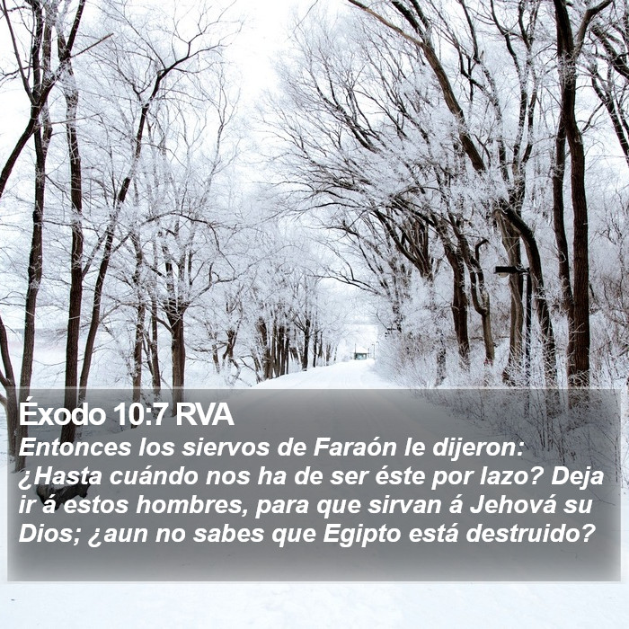 Éxodo 10:7 RVA Bible Study