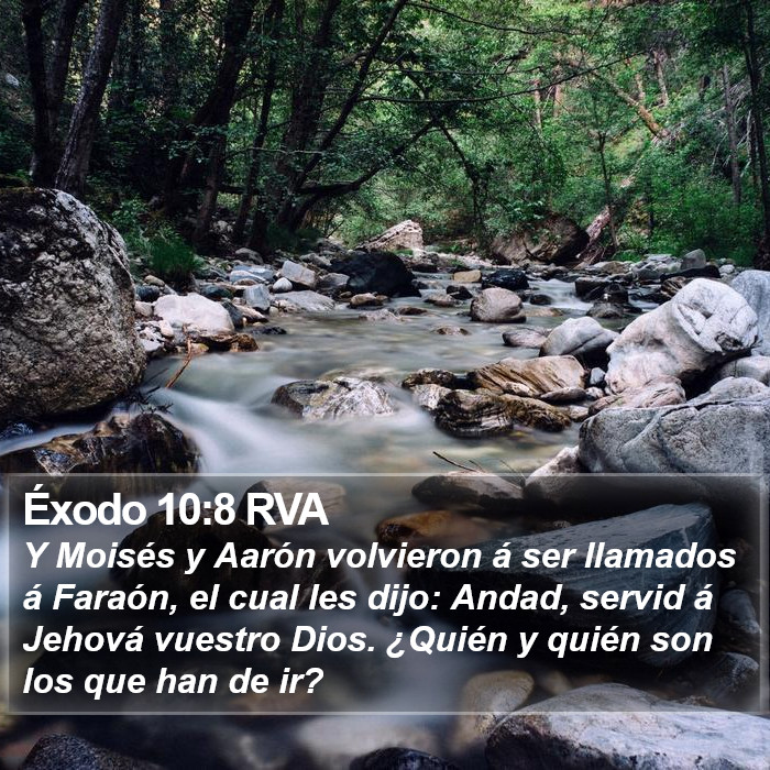 Éxodo 10:8 RVA Bible Study