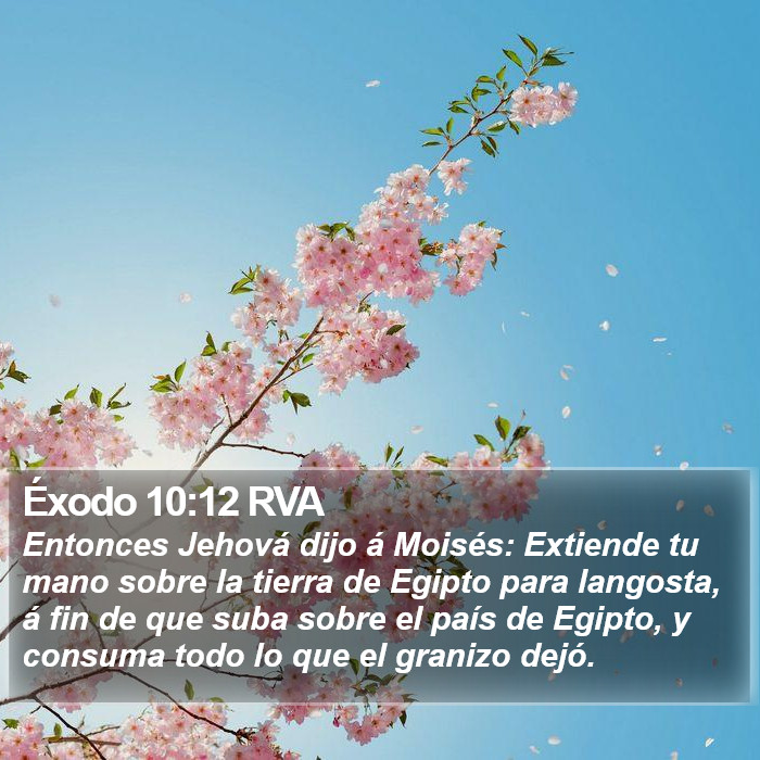 Éxodo 10:12 RVA Bible Study