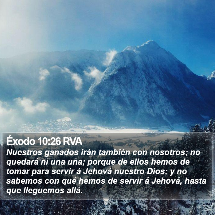 Éxodo 10:26 RVA Bible Study