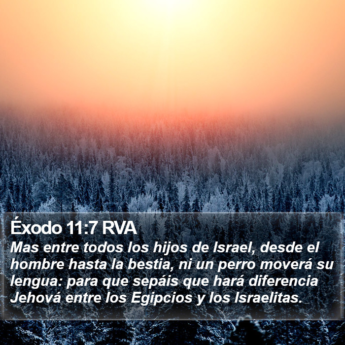 Éxodo 11:7 RVA Bible Study