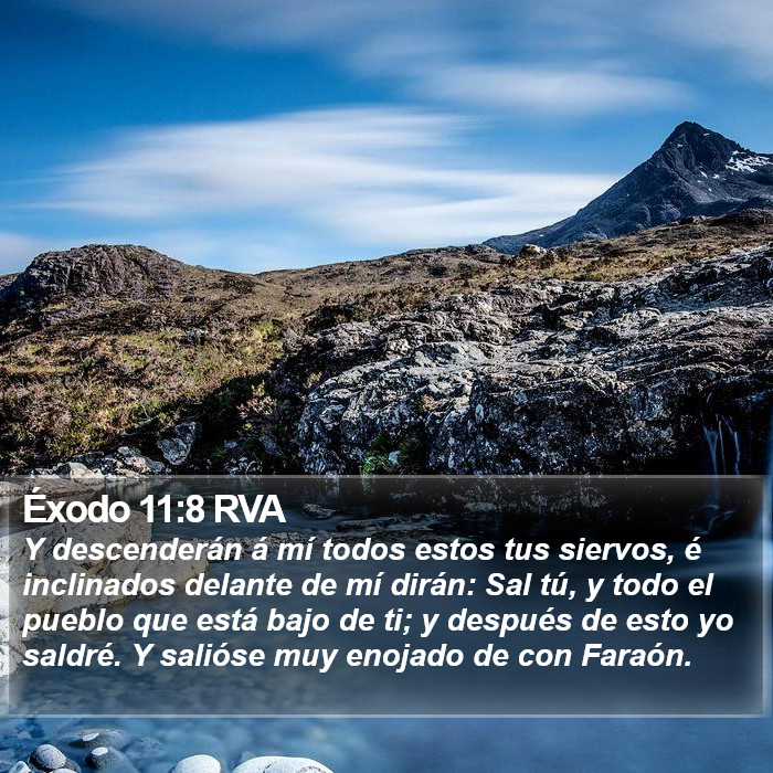 Éxodo 11:8 RVA Bible Study