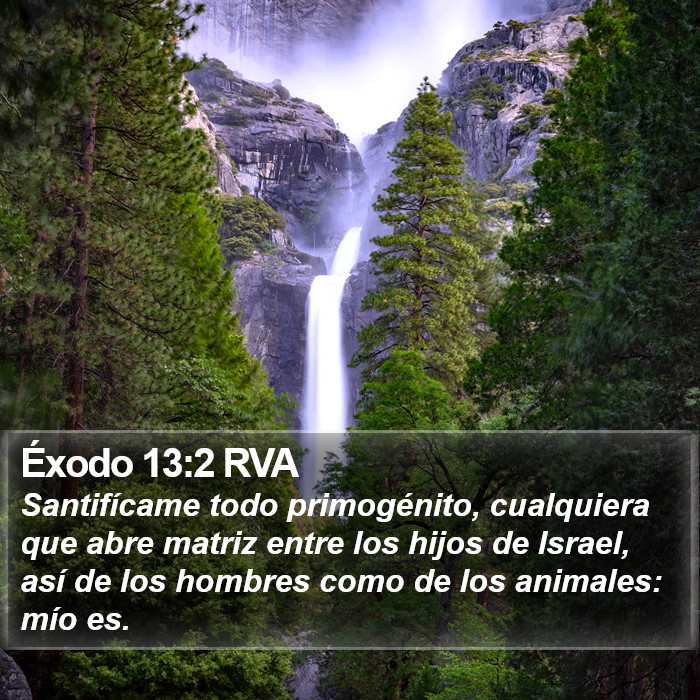 Éxodo 13:2 RVA Bible Study