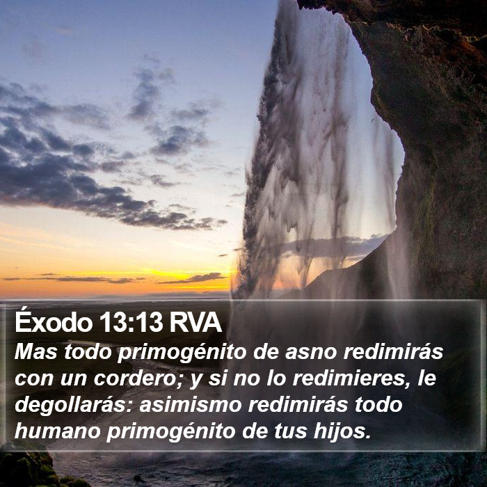 Éxodo 13:13 RVA Bible Study