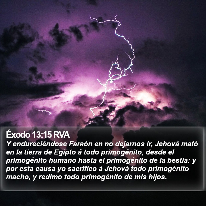 Éxodo 13:15 RVA Bible Study