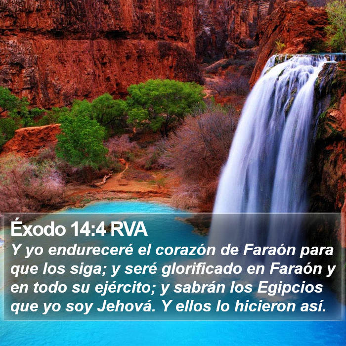 Éxodo 14:4 RVA Bible Study