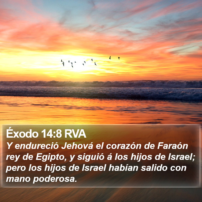 Éxodo 14:8 RVA Bible Study